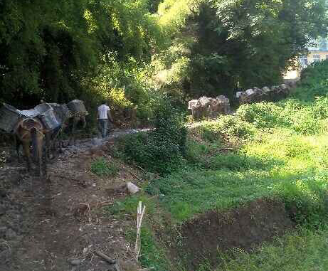 江西马帮运输队