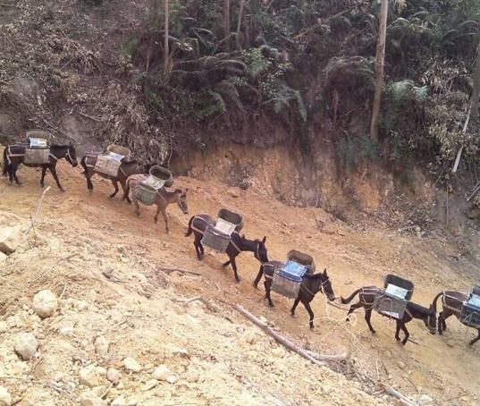 江西山路马帮运输