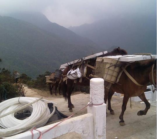 江西山区马帮运输