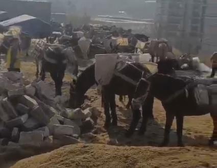 江西马队山路运输