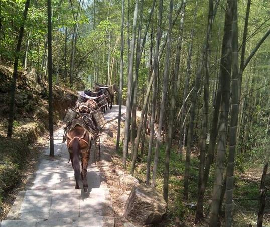 江西山路马队运输