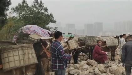 江西骡马山区运输