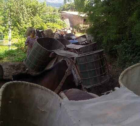 江西骡马运输队