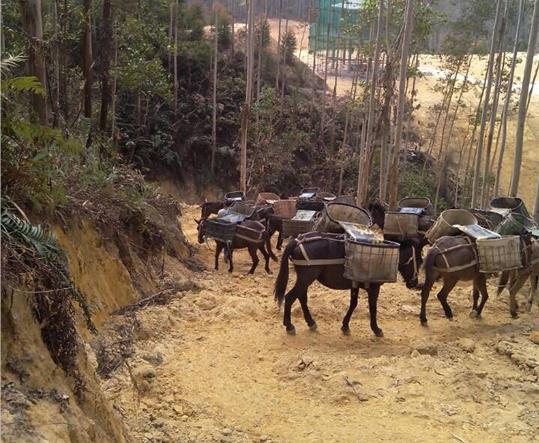 江西马帮山路运输