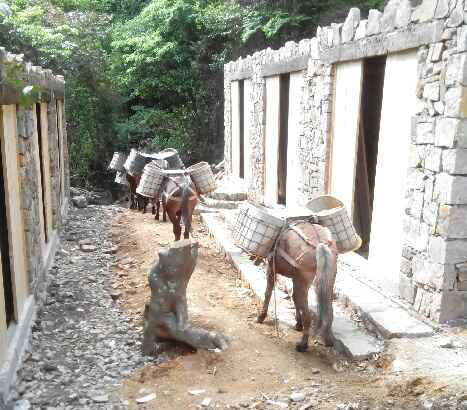 江西马队运输队